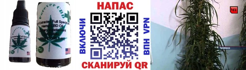 Cannafood конопля  Хадыженск 