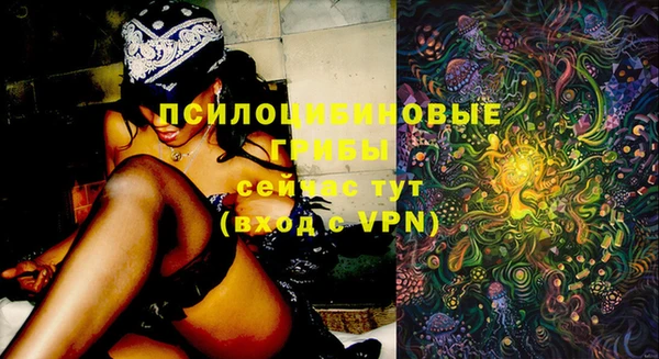 прущий лед Липки