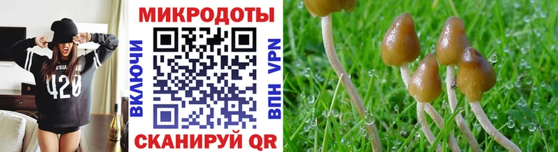 Галлюциногенные грибы мицелий  Хадыженск 